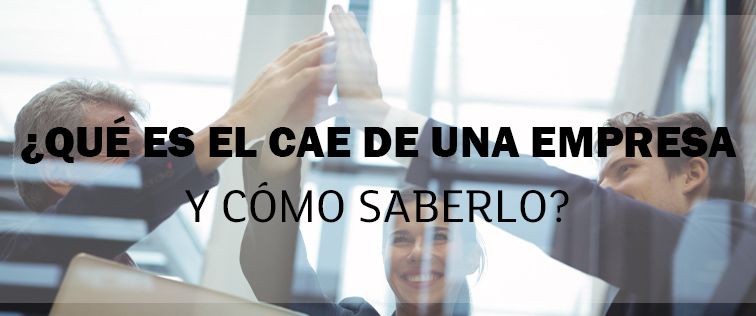 que-es-el-cae-de-una-empresa